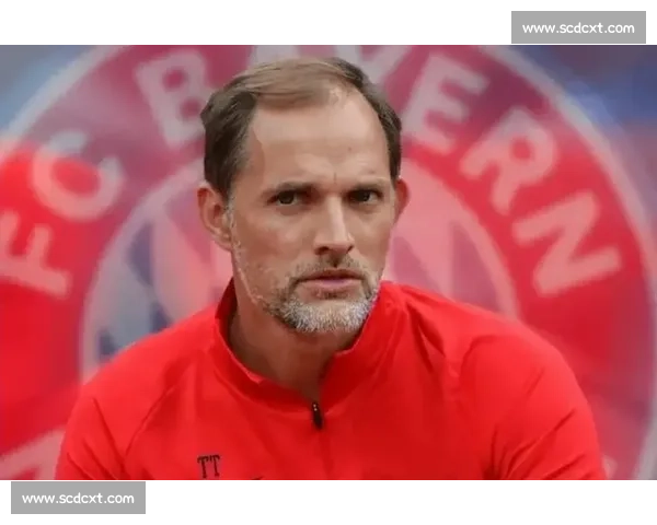 6 战全胜零封！图赫尔铸就英格兰统治力