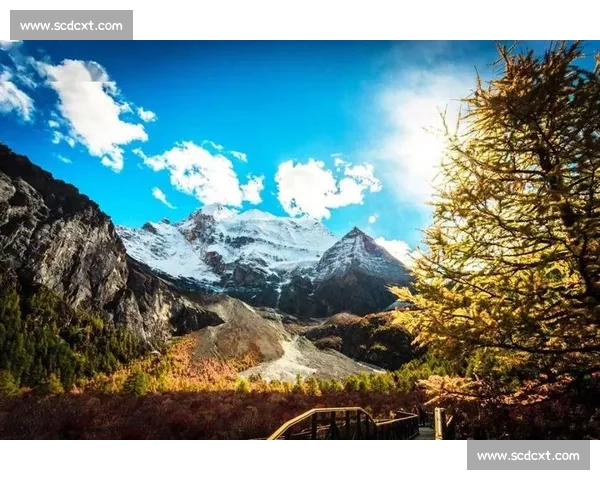 伊萨克:压力真实存在,但我们远未达标 伊萨克:压力真实存在,但我们远未达标